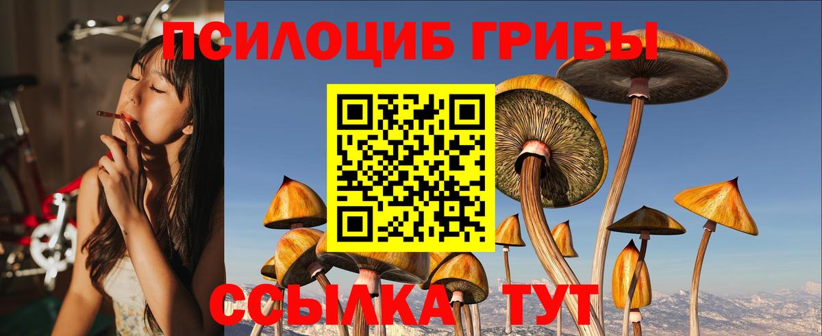 Галлюциногенные грибы Psilocybine cubensis  как найти   Россия  Вход с VPN 