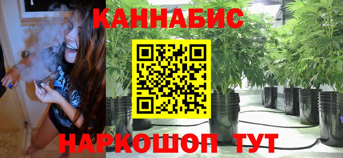 МАРИХУАНА индика  Шишки марихуана SATIVA & INDICA  Вход с VPN  Россия 